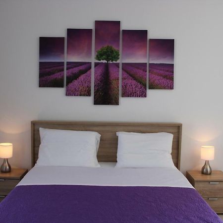Apartment Tip Top Rovinj Dış mekan fotoğraf
