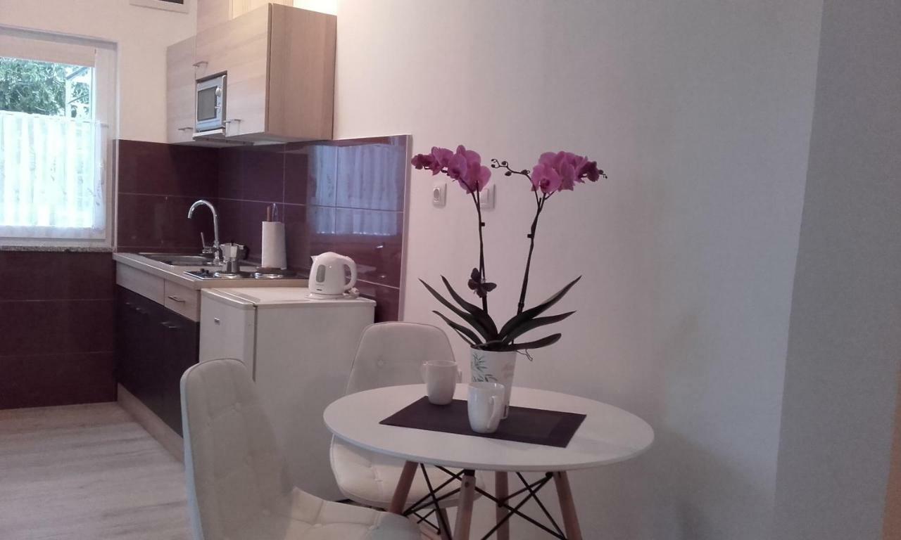 Apartment Tip Top Rovinj Dış mekan fotoğraf
